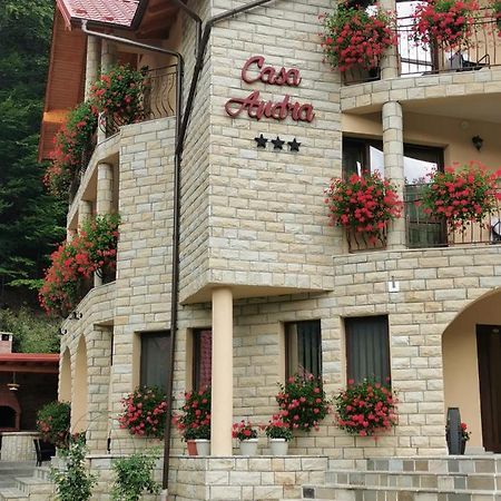 מלון סלניק מולדובה Casa Andra מראה חיצוני תמונה