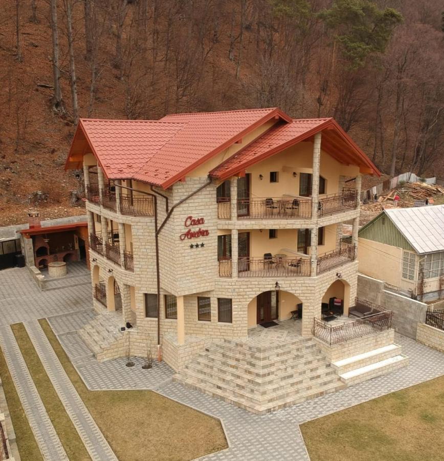 מלון סלניק מולדובה Casa Andra מראה חיצוני תמונה