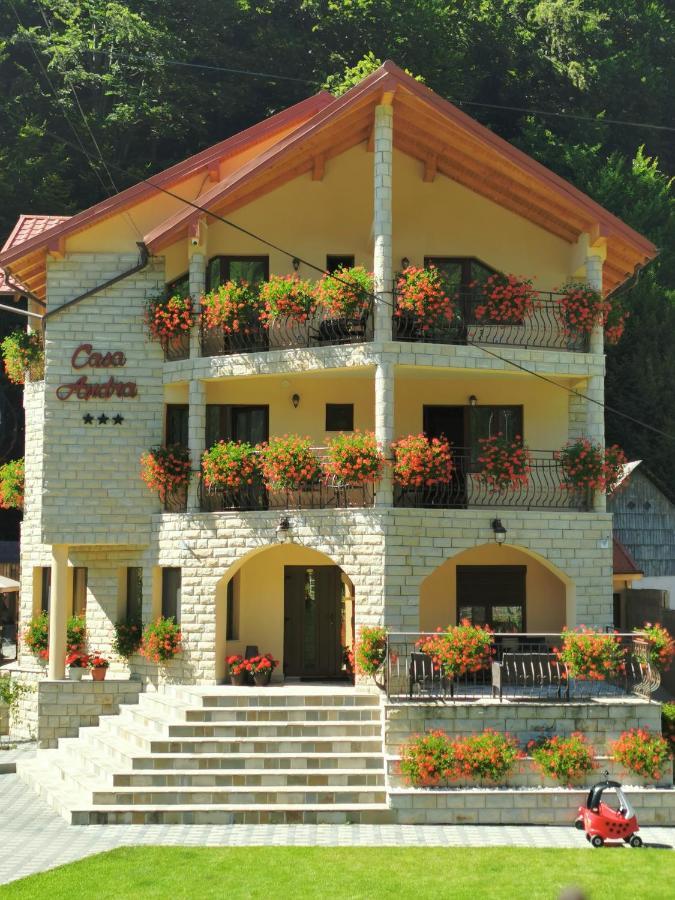 מלון סלניק מולדובה Casa Andra מראה חיצוני תמונה