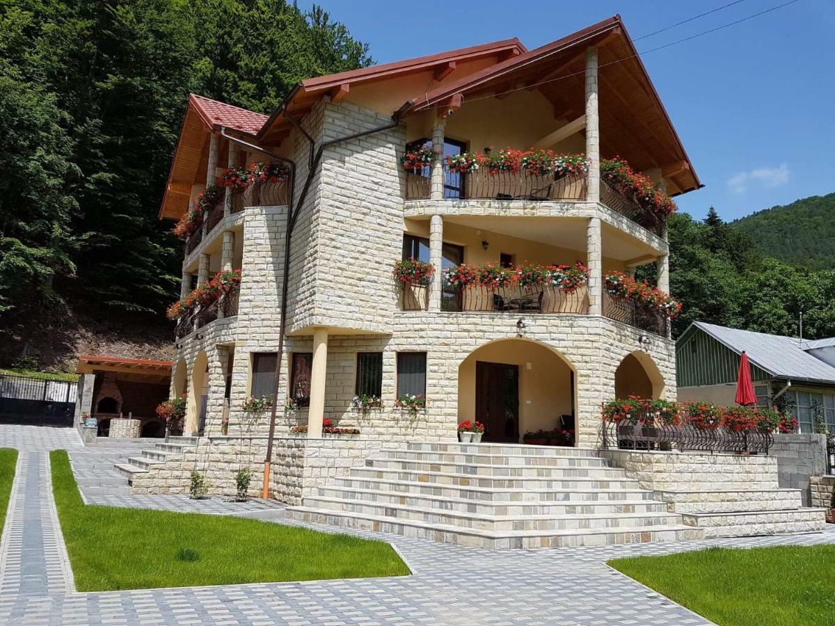 מלון סלניק מולדובה Casa Andra מראה חיצוני תמונה