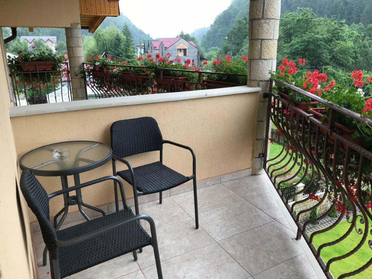 מלון סלניק מולדובה Casa Andra מראה חיצוני תמונה