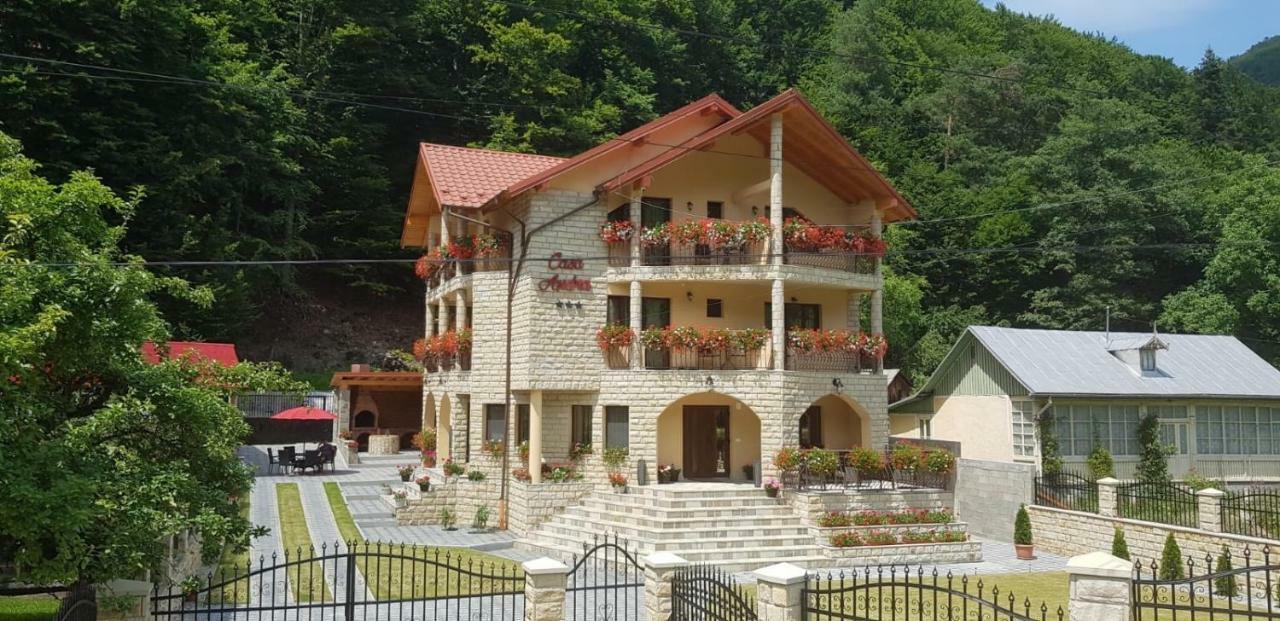 מלון סלניק מולדובה Casa Andra מראה חיצוני תמונה