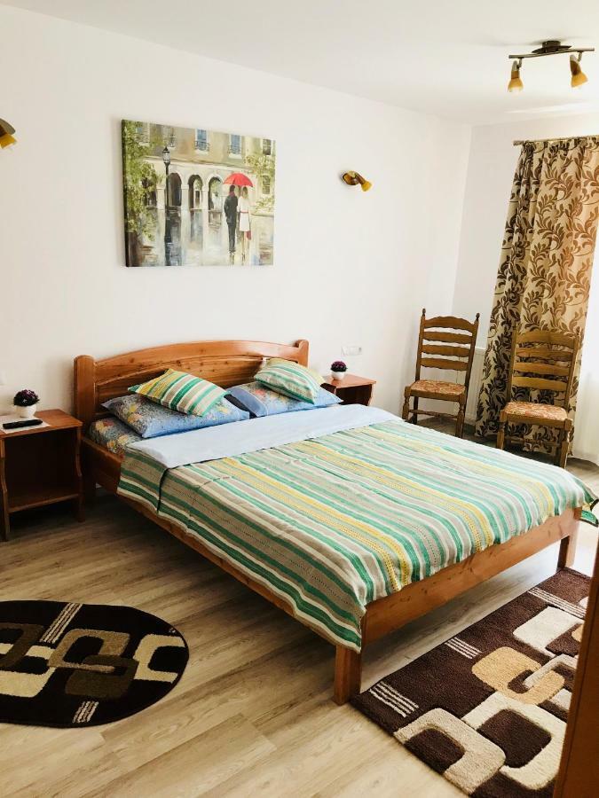 מלון סלניק מולדובה Casa Andra מראה חיצוני תמונה